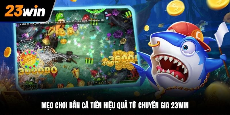 Mẹo chơi bắn cá tiên hiệu quả từ chuyên gia 23Win