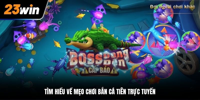 Tìm hiểu về mẹo chơi bắn cá tiên trực tuyến