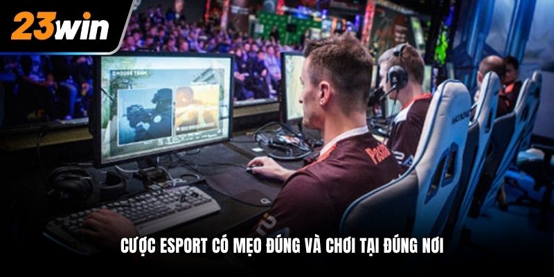 Mẹo cược Esport sân chơi quá hấp dẫn cho tân thủ