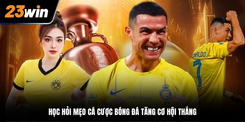 Học hỏi mẹo cá cược bóng đá tăng cơ hội thắng