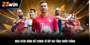 Mẹo Cược Bóng Rổ 23Win: Bí Kíp Gia Tăng Chiến Thắng